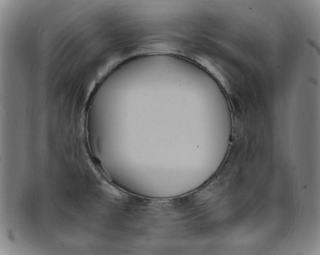 X0000097881477200804041602