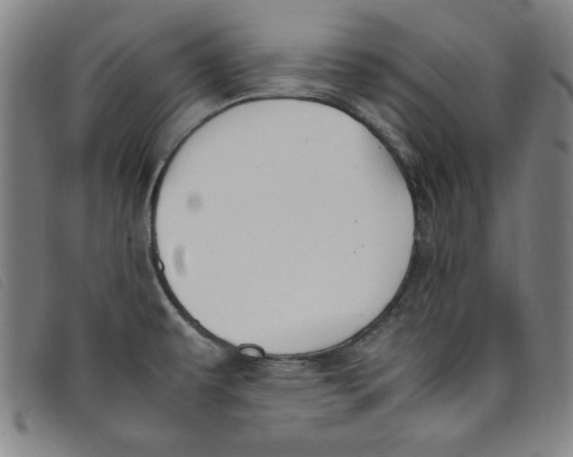 X0000097881479200804041602