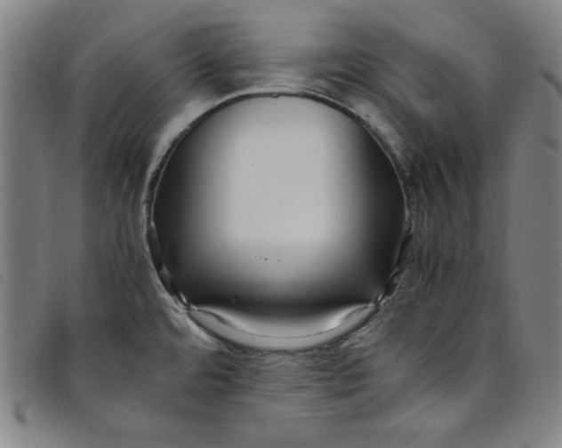 X0000097881480200804041602