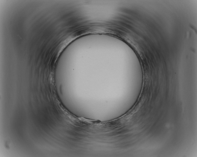 X0000097881481200804041602