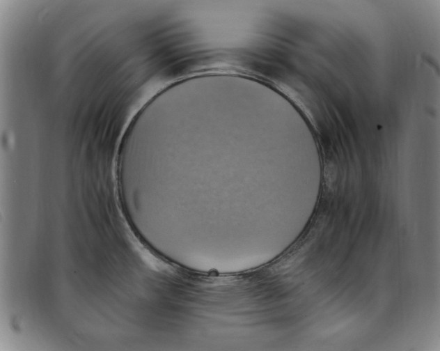 X0000097881482200804041602