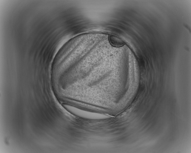 X0000097881483200804041602