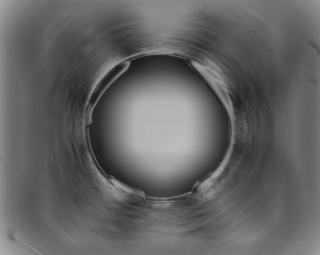 X0000097881484200804041602