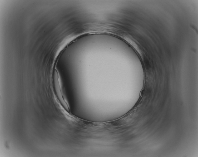 X0000097881485200804041602