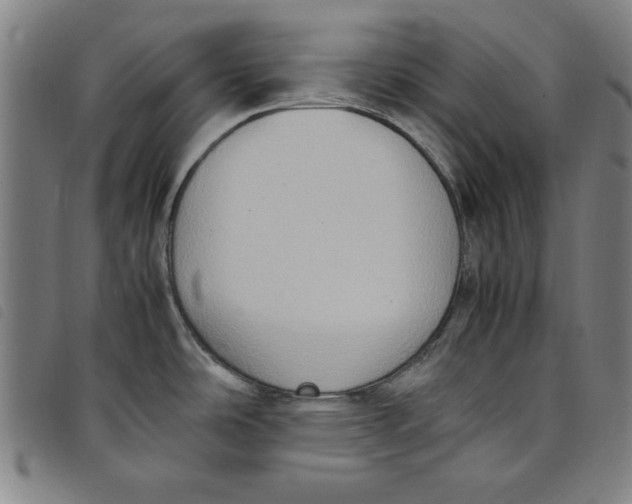 X0000097881486200804041602