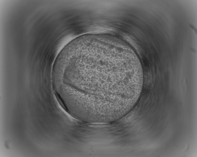 X0000097881487200804041602