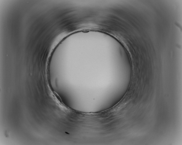 X0000097881488200804041602