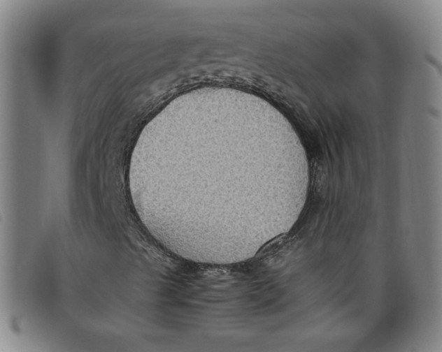 X0000097881489200804041601