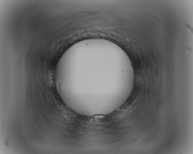 X0000097881490200804041601