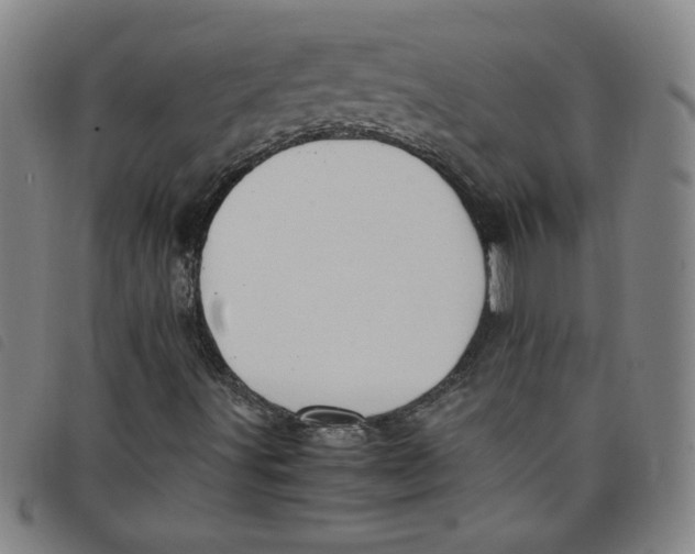 X0000097881491200804041601