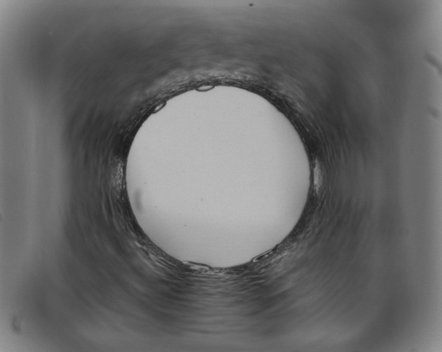 X0000097881492200804041601