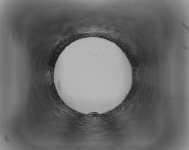 X0000097881493200804041601