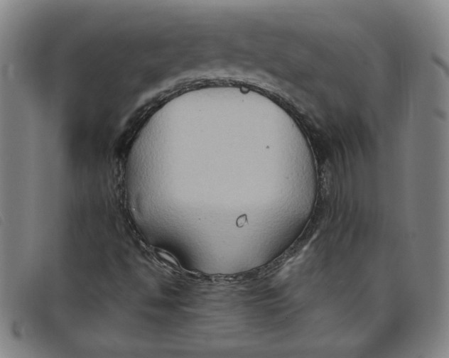 X0000097881494200804041601