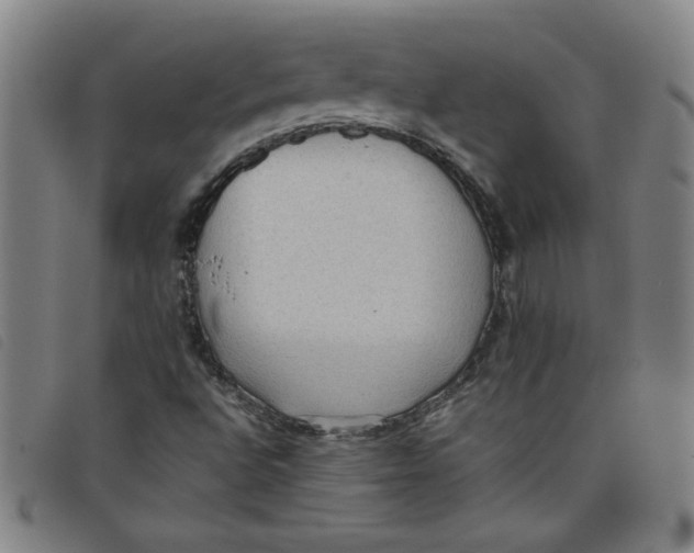 X0000097881496200804041602