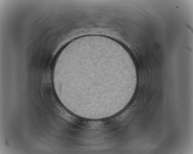 X0000097881498200804041602