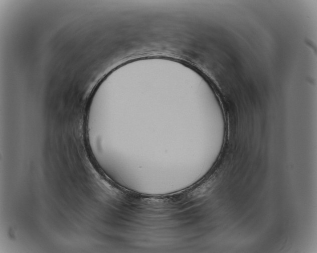 X0000097881500200804041602