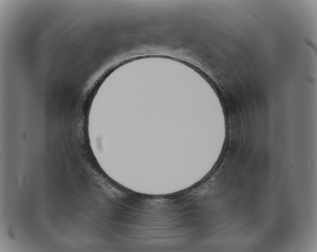 X0000097881502200804041602