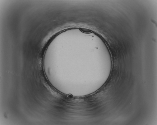 X0000097881503200804041602