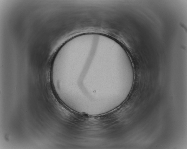 X0000097881504200804041602