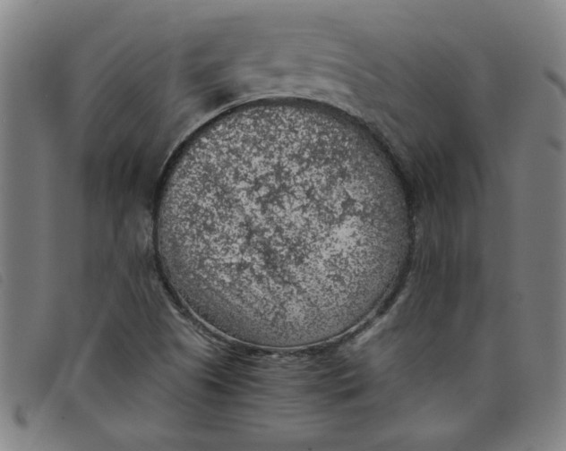 X0000097881505200804041602