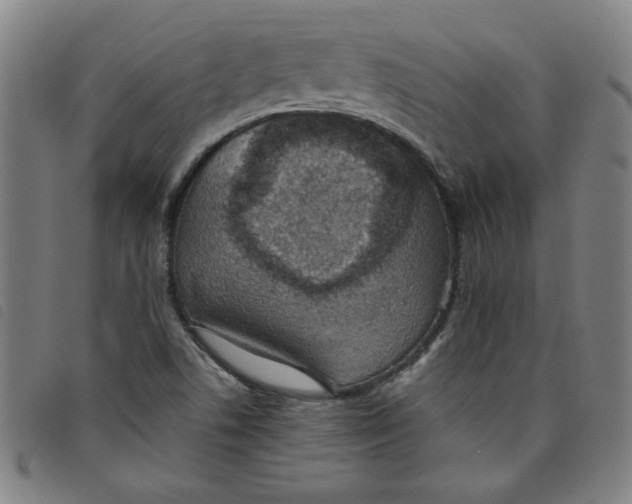 X0000097881506200804041602