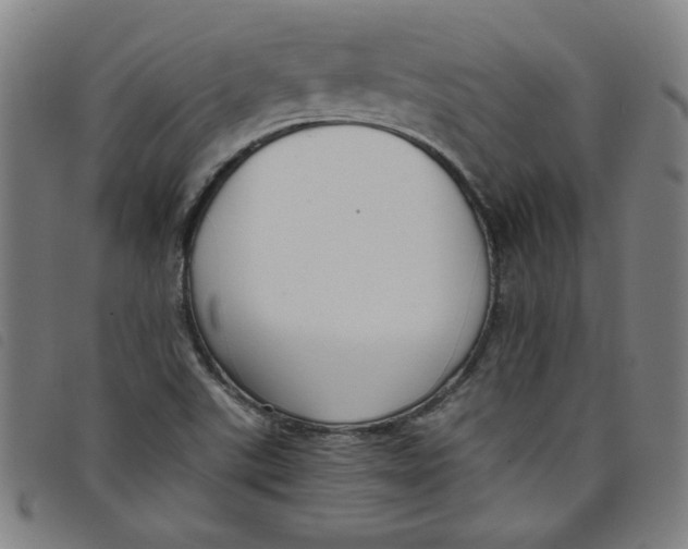 X0000097881507200804041602