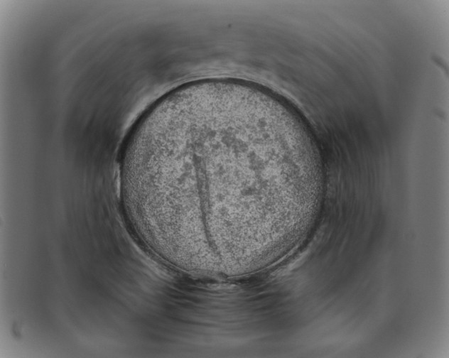 X0000097881509200804041602