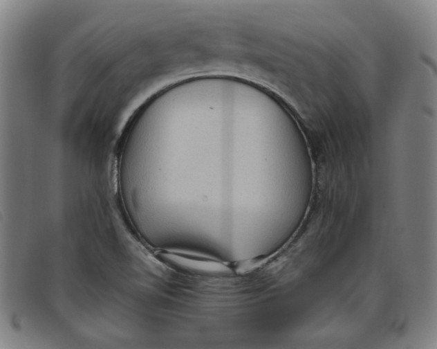 X0000097881510200804041602