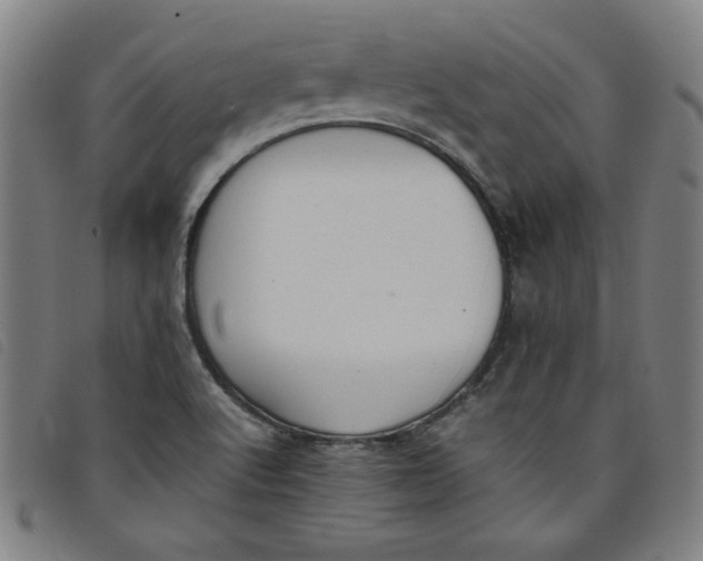 X0000097881512200804041602