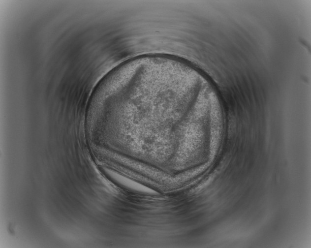 X0000097881513200804041602