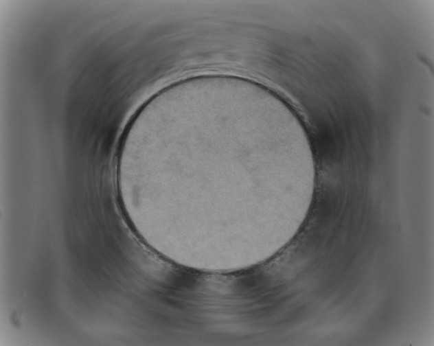 X0000097881514200804041602