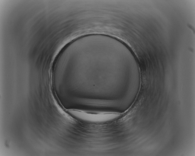 X0000097881515200804041602