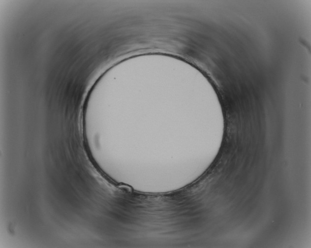 X0000097881516200804041602