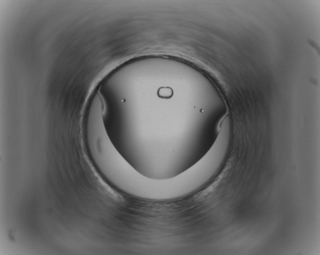 X0000097881517200804041602