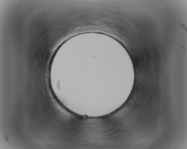 X0000097881518200804041602