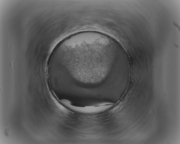 X0000097881519200804041602