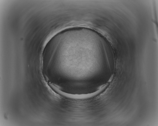 X0000097881520200804041602