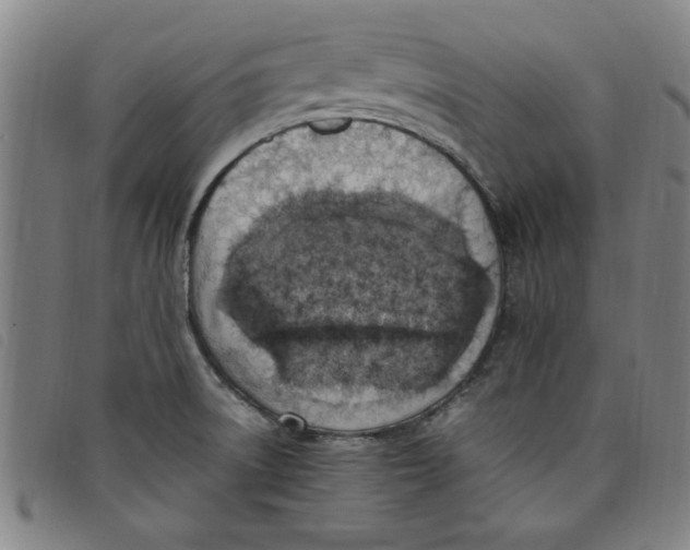 X0000097881522200804041602