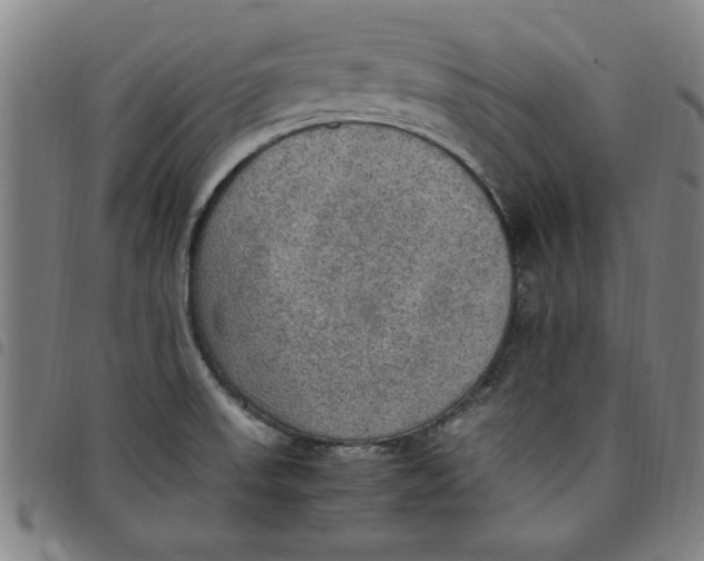 X0000097881523200804041602