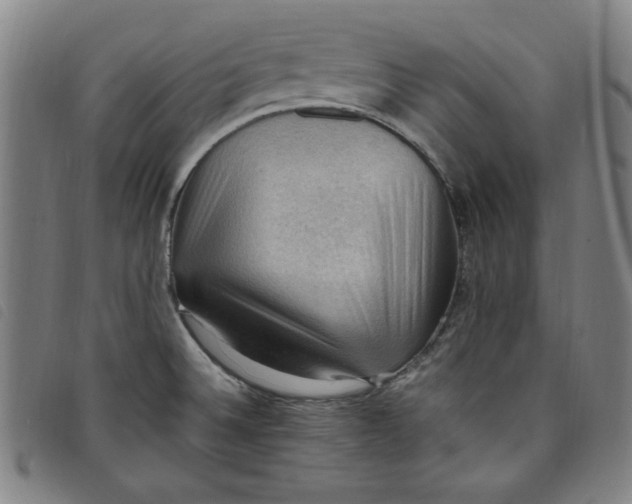 X0000097881524200804041602