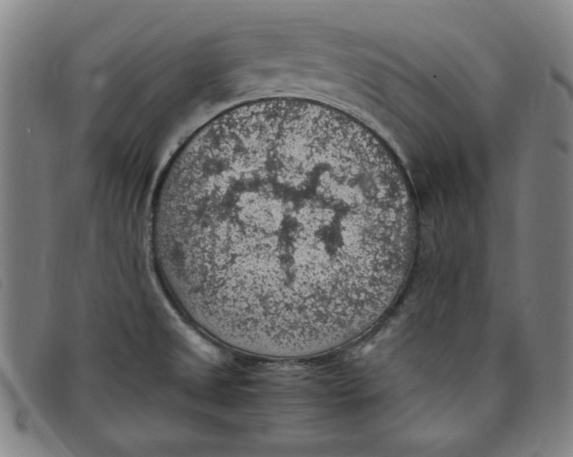 X0000097881525200804041602