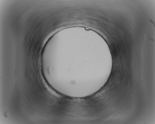 X0000097881526200804041602