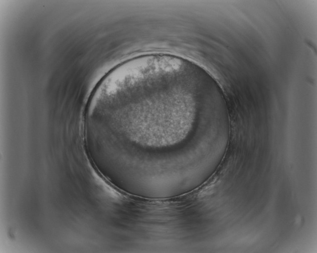 X0000097881527200804041602