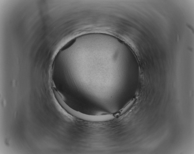 X0000097881528200804041602