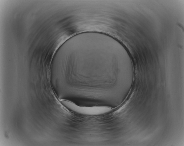 X0000097881529200804041602