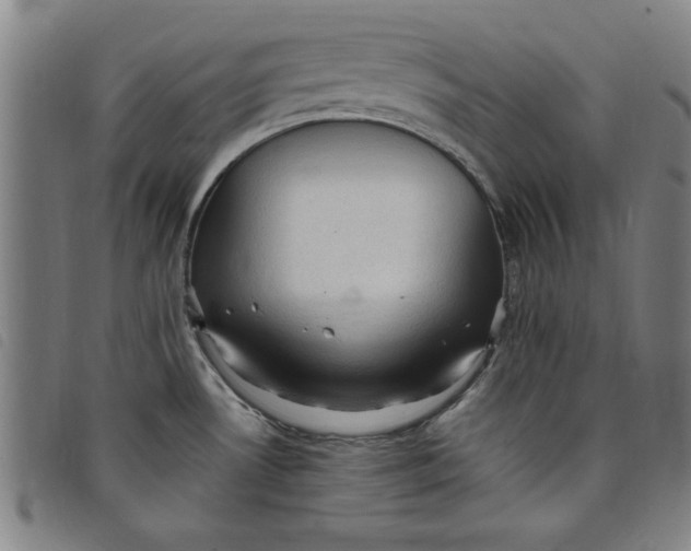 X0000097881530200804041602