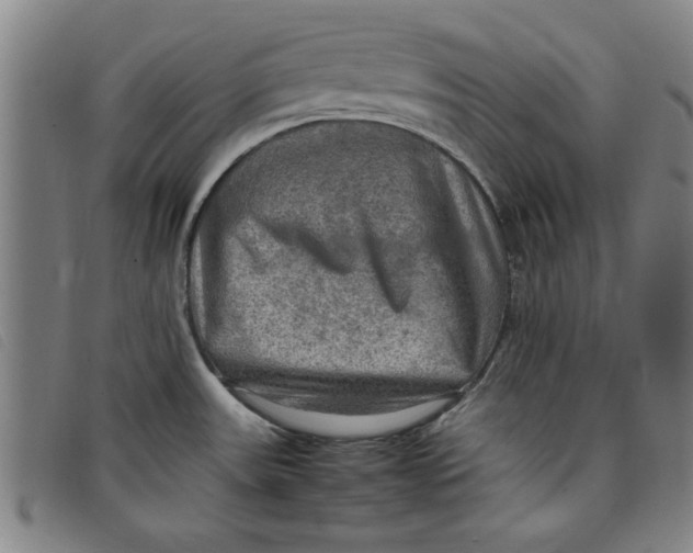 X0000097881531200804041602