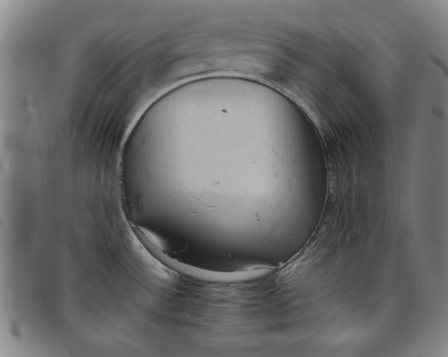 X0000097881532200804041602