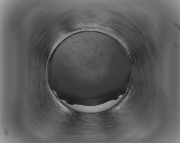 X0000097881533200804041602