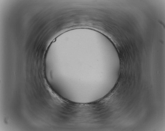 X0000097881534200804041602